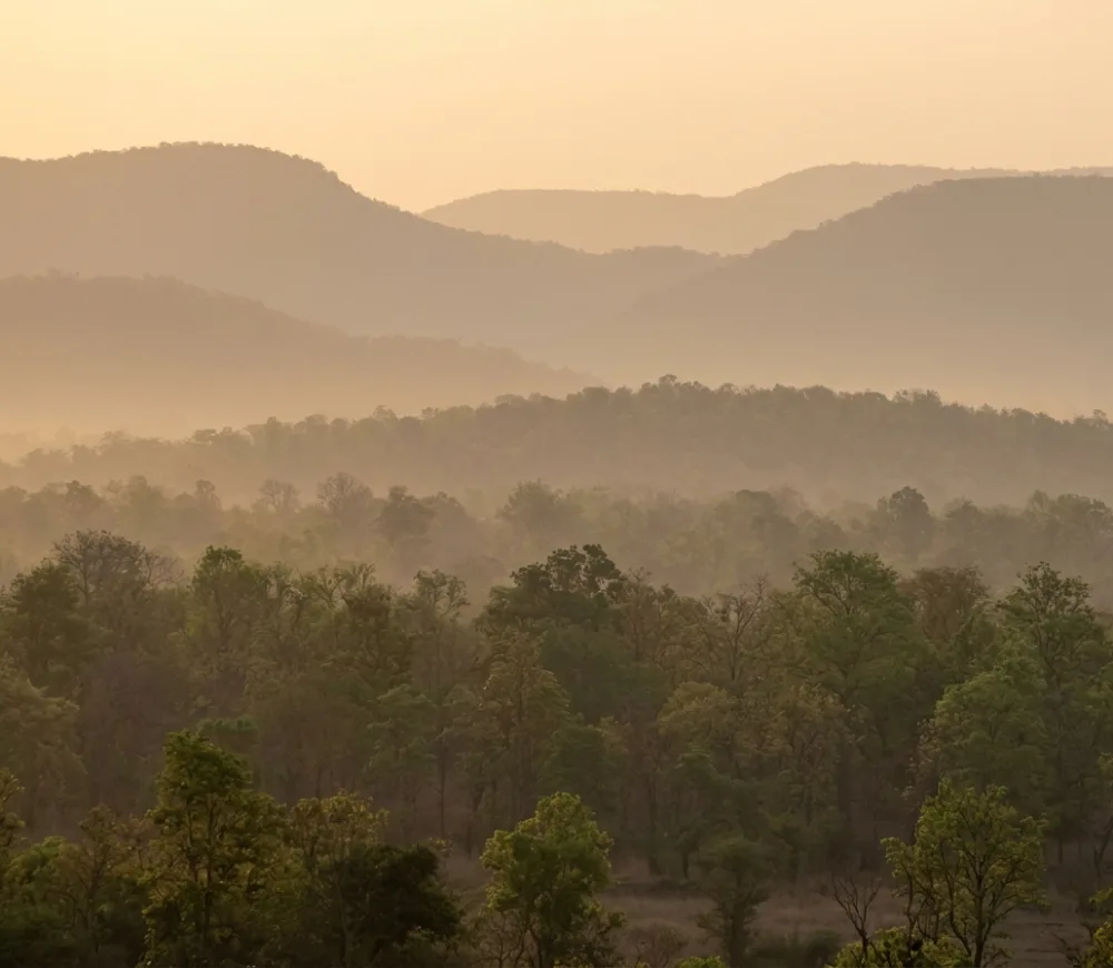 Sunrise over the forested hills of Tadoba Andhari Tiger Reserve